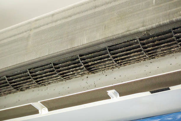 Best Residential Air Duct Cleaning in Mapleton, MN